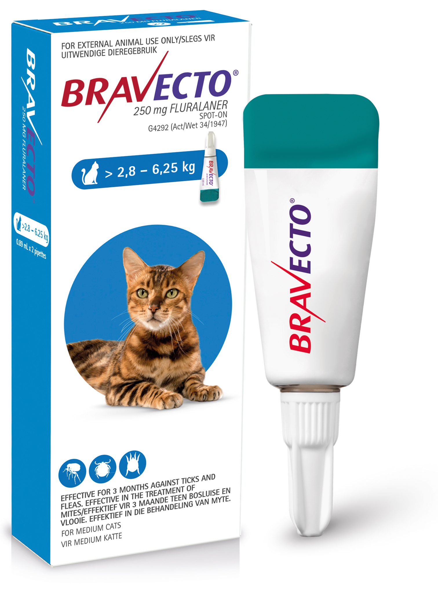 Styring uanset Souvenir Flea & Tick Treatment For Cats | BRAVECTO® (FLURALANER)