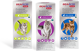 BRAVECTO PLUS for Cats