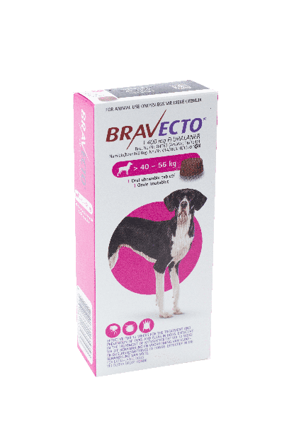 BRAVECTO for Dogs Flea and Tick Treatment